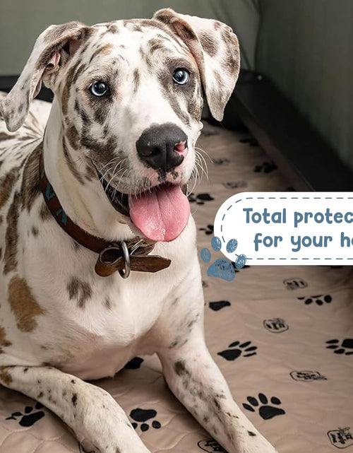 Load image into Gallery viewer, Reusable Dog Pee Pads for Dogs - Waterproof Potty Training Pee Pad - Washable Dog Training Pads W/ Rounded Corners Puppy Pad - Lightweight &amp; Laminated Whelping Pad Dog Mat Pet Supplies - 2 Pk
